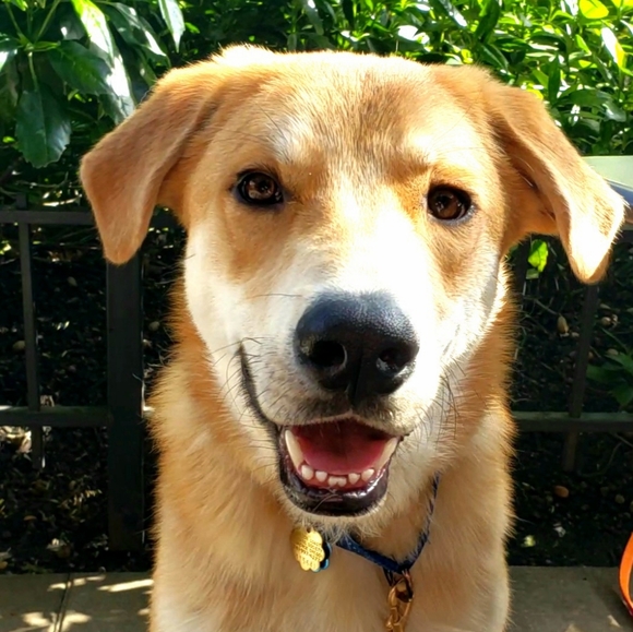 Meet your Posher, Mary - Picture 2 of 9